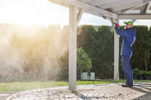 Best Roof Washing  in Joppatowne, MD
